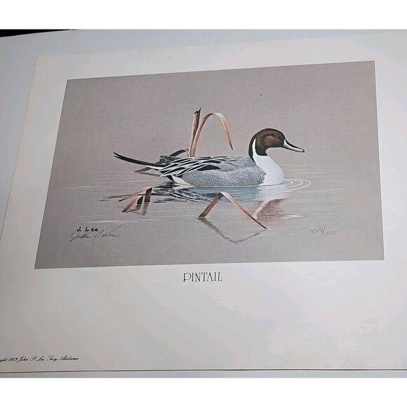 John P Lee 1983 Unframed print Pintail Duck #554/650 Pencil Signed 11⅛ x 10¼ - Picture 12 of 16